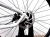 408be9d62a525c4ad9a7b0f57505619d.jpg